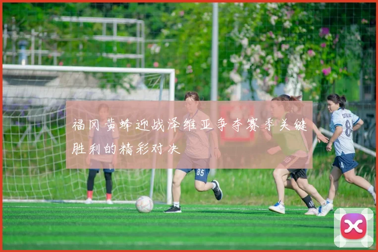 福冈黄蜂迎战泽维亚争夺赛季关键胜利的精彩对决