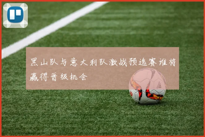 黑山队与意大利队激战预选赛谁将赢得晋级机会