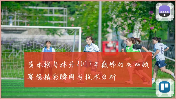 黄永棋与林丹2017年巅峰对决回顾赛场精彩瞬间与技术分析