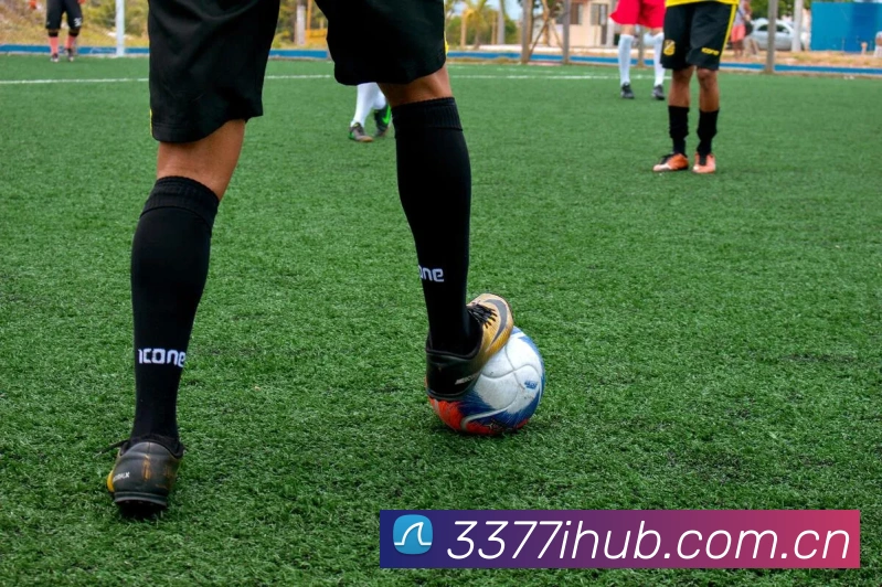 3377体育平台生态图